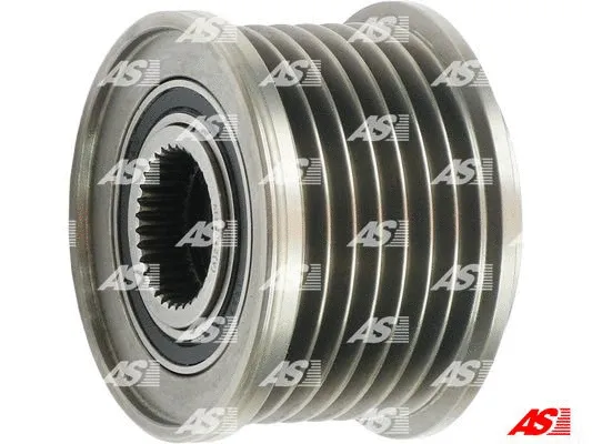Alternator Freewheel Clutch (AFP0042(V))