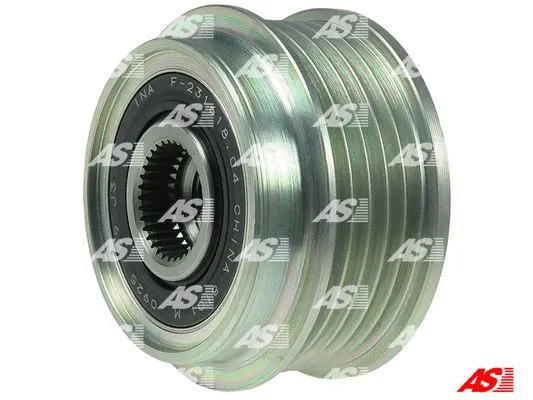 Alternator Freewheel Clutch (AFP1001(INA))