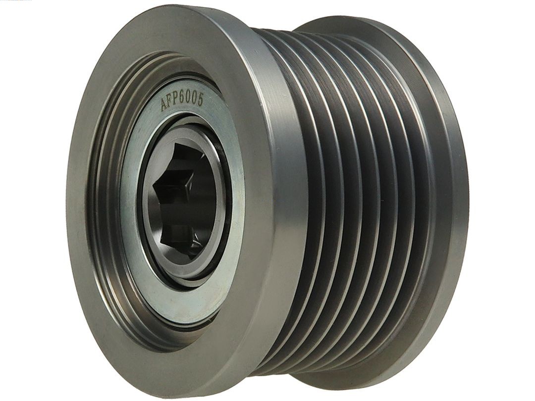 Alternator Freewheel Clutch (AFP6005)