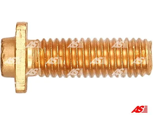 Repair Kit, starter (SP9021)