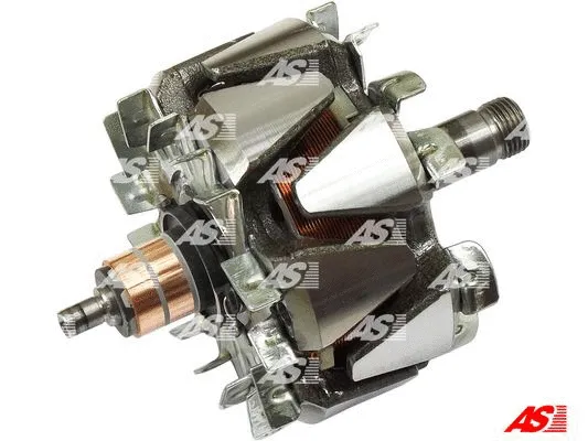 Rotor, alternator (AR5028)