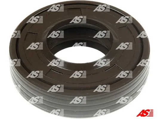 Repair Set, alternator (ARS5013)