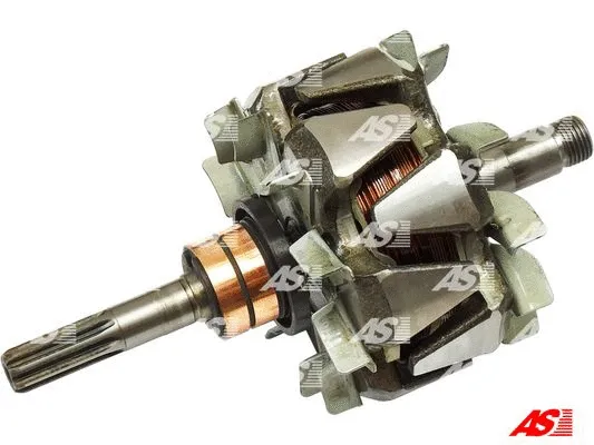 Rotor, alternator (AR2013)