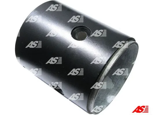 Field Winding, starter (SF9006)