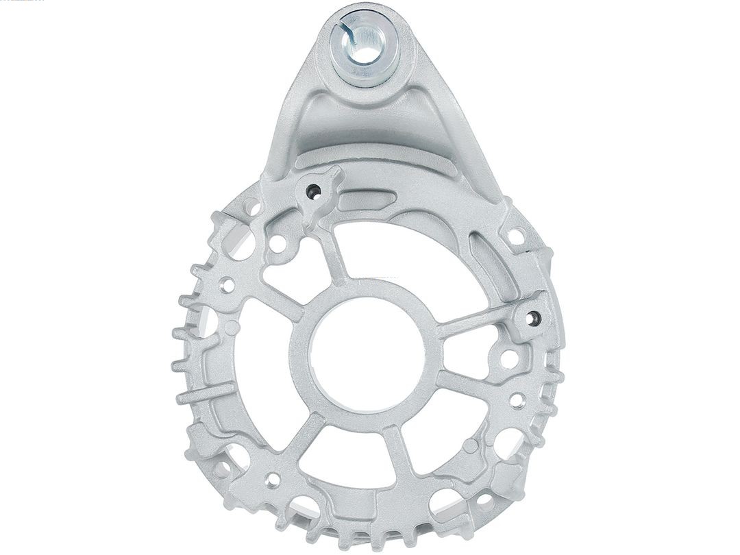 Bracket, alternator drive flange (ABR0221S)