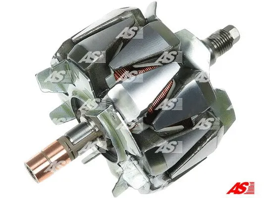 Rotor, alternator (AR6029S)