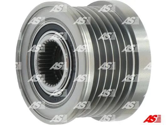 Alternator Freewheel Clutch (AFP6032(V))
