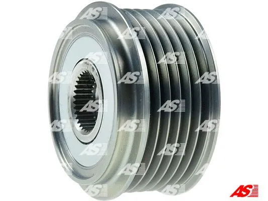Alternator Freewheel Clutch (AFP5013)