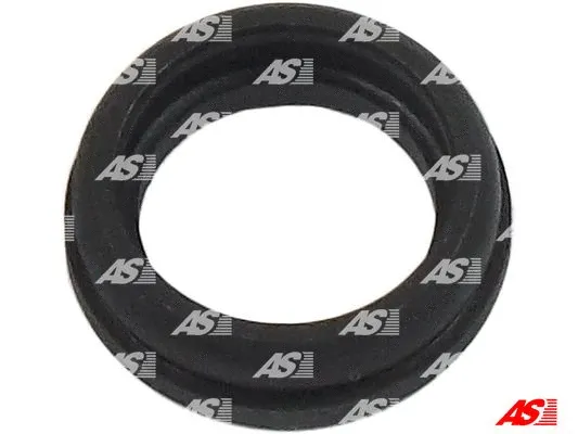 Repair Kit, starter (SRS0038)