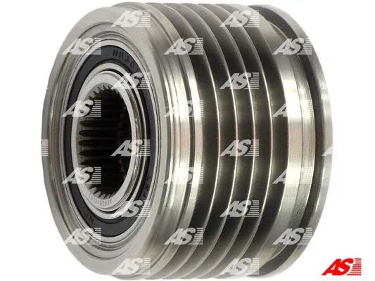 Alternator Freewheel Clutch (AFP3010(V))