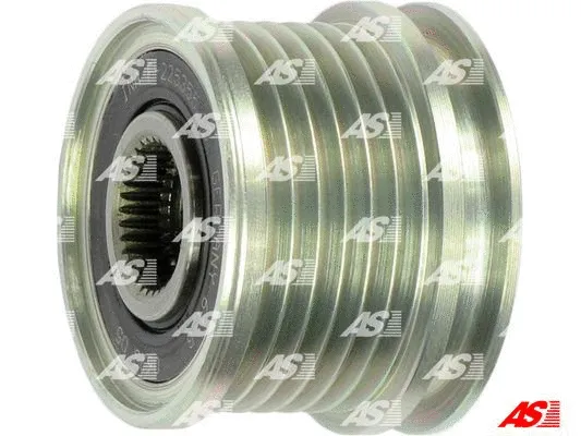 Alternator Freewheel Clutch (AFP0005(INA))