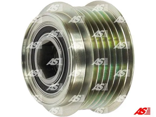Alternator Freewheel Clutch (AFP5019)