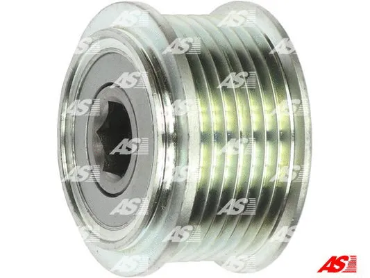Alternator Freewheel Clutch (AFP6021)