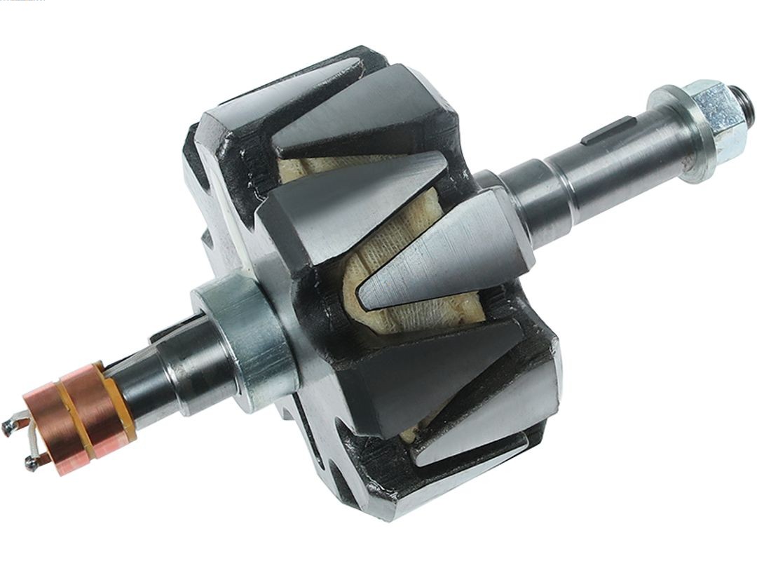 Rotor, alternator (AR9047S)