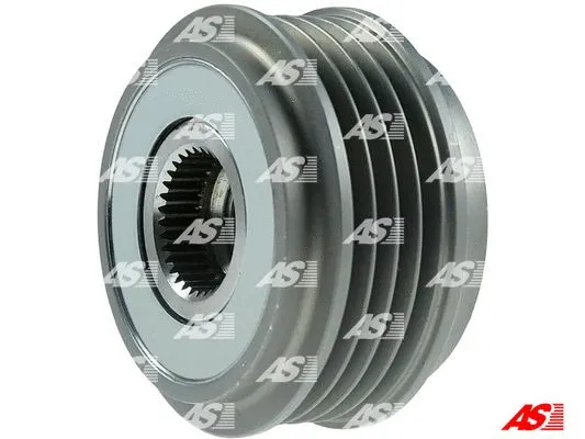 Alternator Freewheel Clutch (AFP0081)