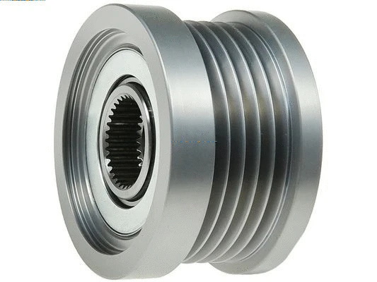 Alternator Freewheel Clutch (AFP1009S)