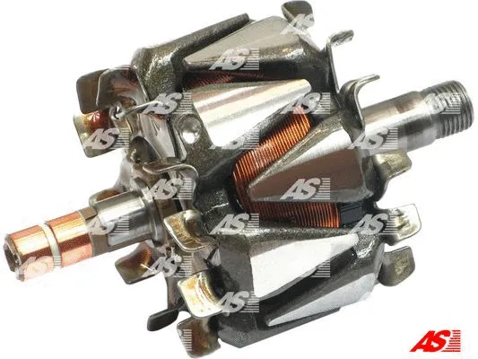 Rotor, alternator (AR3018)