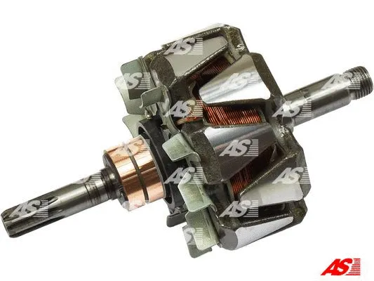 Rotor, alternator (AR2014)