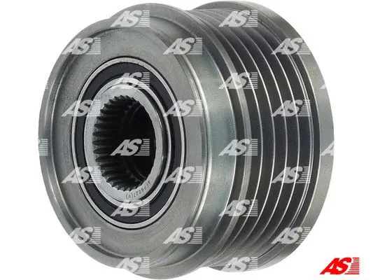 Alternator Freewheel Clutch (AFP6027(V))