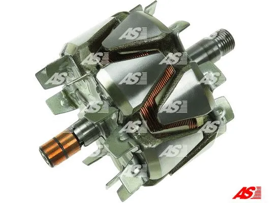 Rotor, alternator (AR9001)
