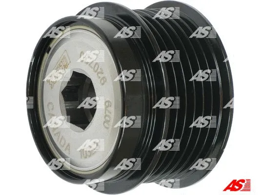 Alternator Freewheel Clutch (AFP6008(LITENS))