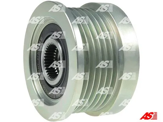 Alternator Freewheel Clutch (AFP6001(INA))