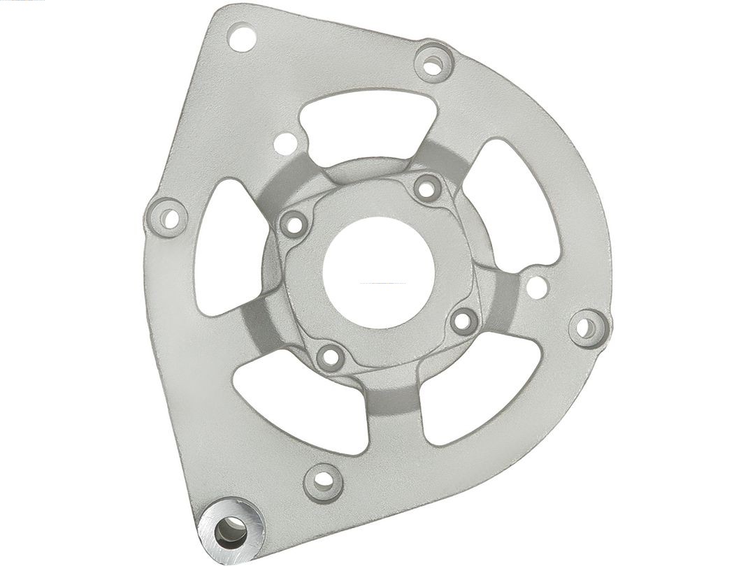 Bracket, alternator drive flange (ABR0155S)
