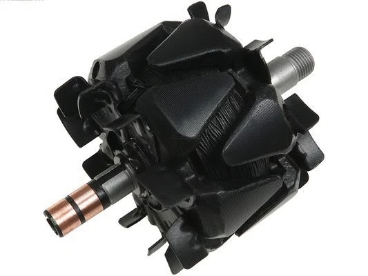 Rotor, alternator (AR3010PR)