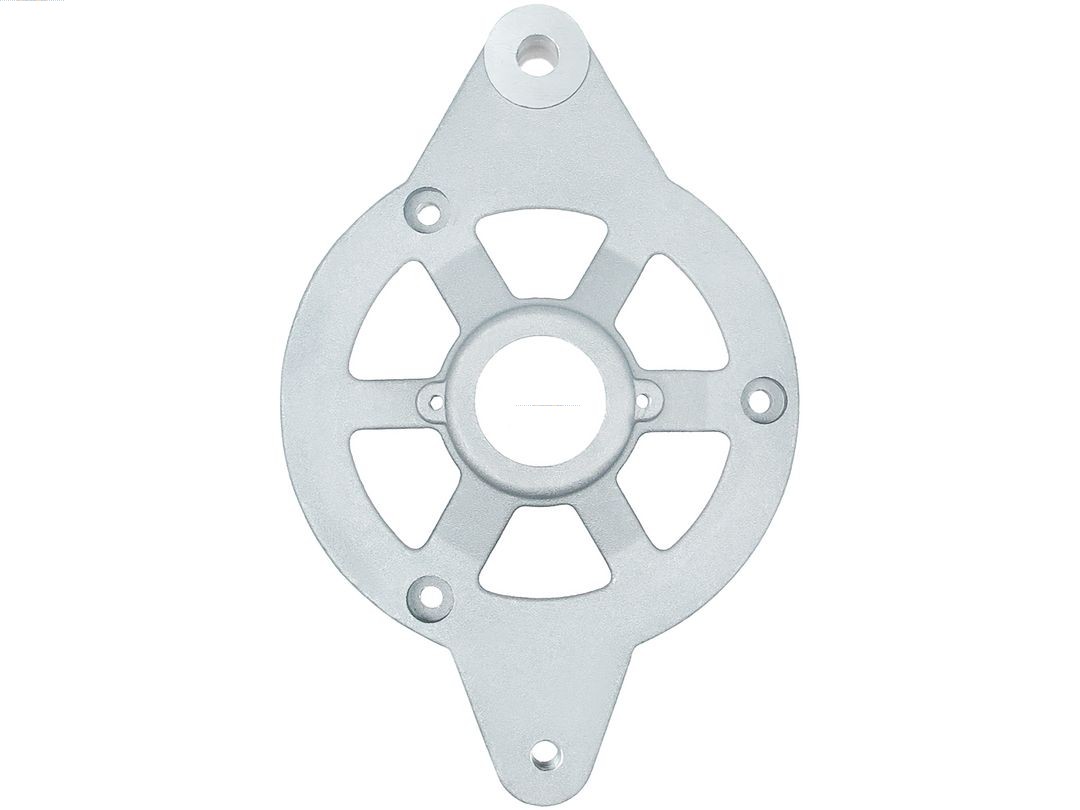 Bracket, alternator drive flange (ABR9072S)