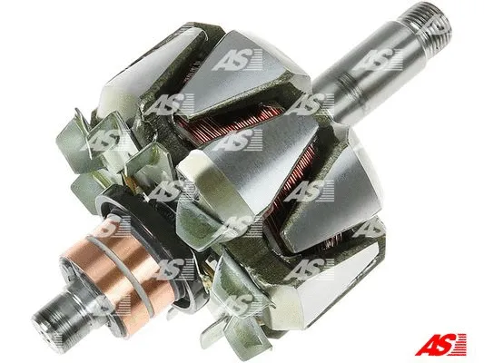 Rotor, alternator (AR2023S)