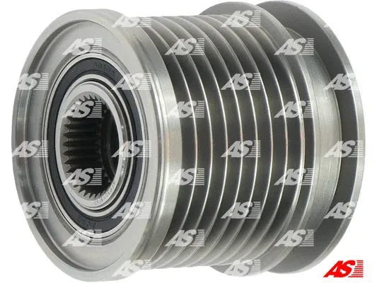 Alternator Freewheel Clutch (AFP3019(V))