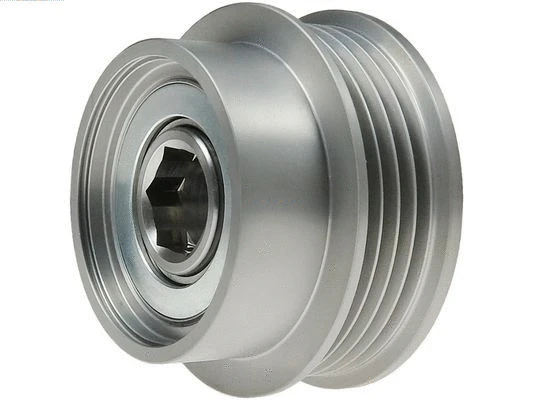 Alternator Freewheel Clutch (AFP6087S)