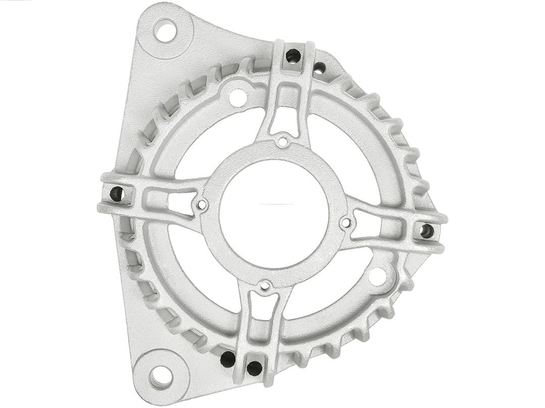 Bracket, alternator drive flange (ABR4074S)