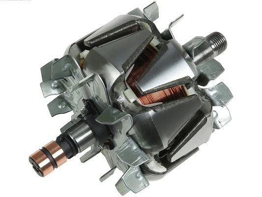 Rotor, alternator (AR0095S)