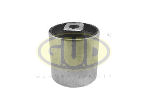 Mounting, control/trailing arm (GSP601059)