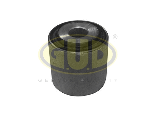 Mounting, control/trailing arm (GSP601062)