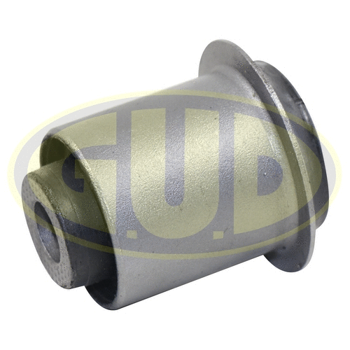 Mounting, control/trailing arm (GSP601600)