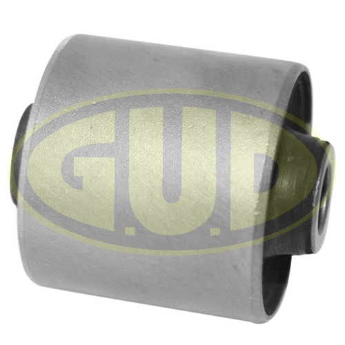 Mounting, control/trailing arm (GSP601559)