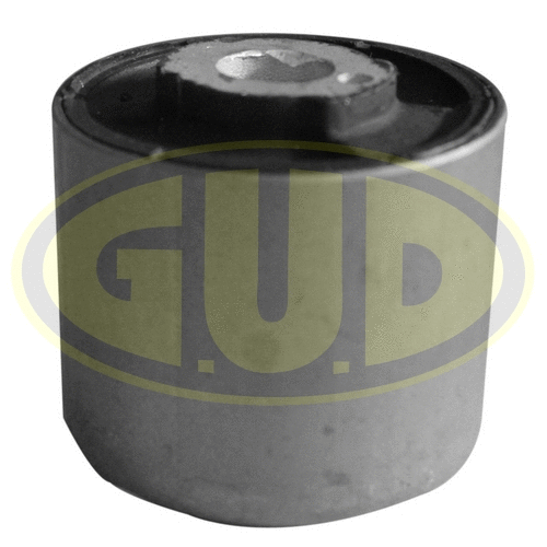 Mounting, control/trailing arm (GSP601671)
