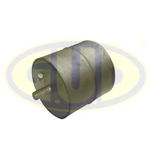 Mounting, engine (GEM001063)