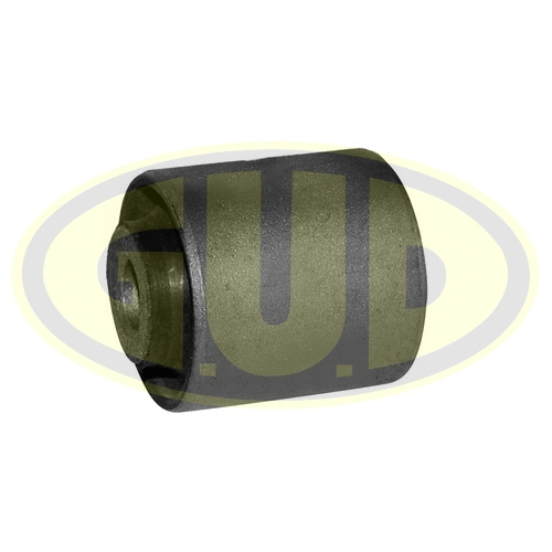 Mounting, control/trailing arm (GSP601643)