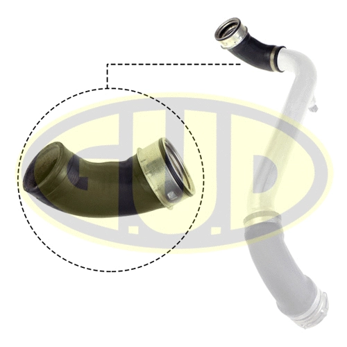 Charge Air Hose (GTH319933)