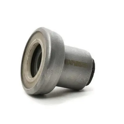 Mounting, control/trailing arm (GSP601011)
