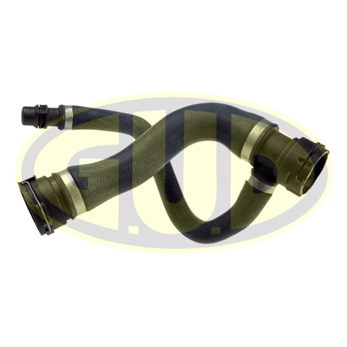 Radiator Hose (GSH319252)