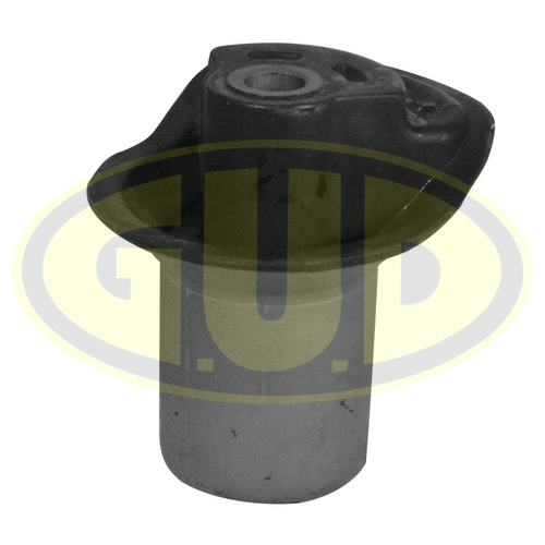 Mounting, control/trailing arm (GSP601294)