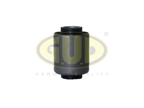 Mounting, control/trailing arm (GSP601073)