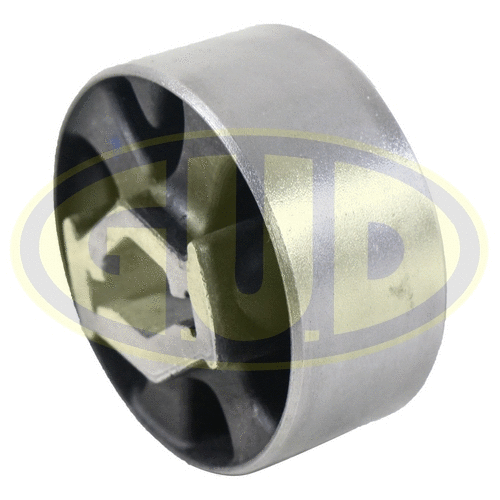 Mounting, control/trailing arm (GSP601457)