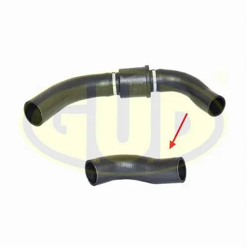 Charge Air Hose (GTH019654)