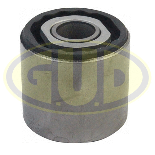 Mounting, control/trailing arm (GSP601720)