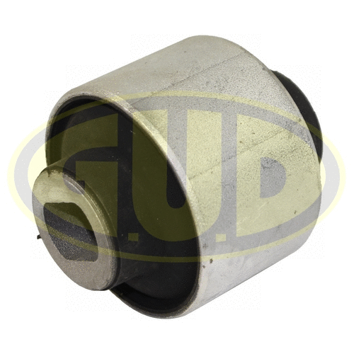 Mounting, control/trailing arm (GSP601452)